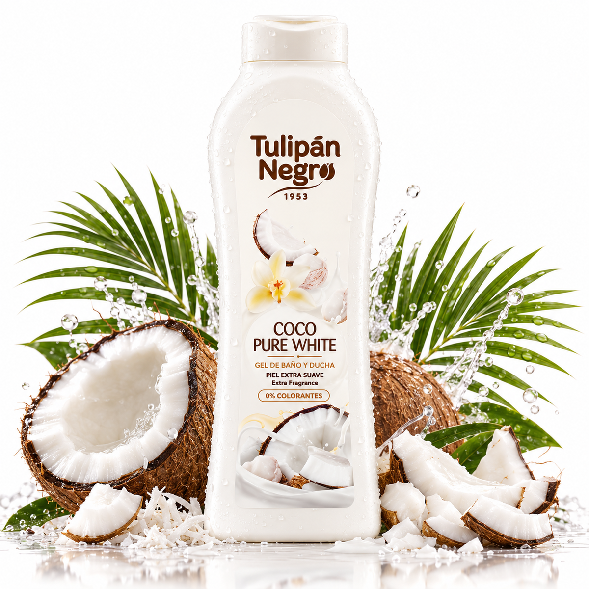 Tulipán Negro Coco Pure White
