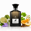 Grandeur Avento EDP