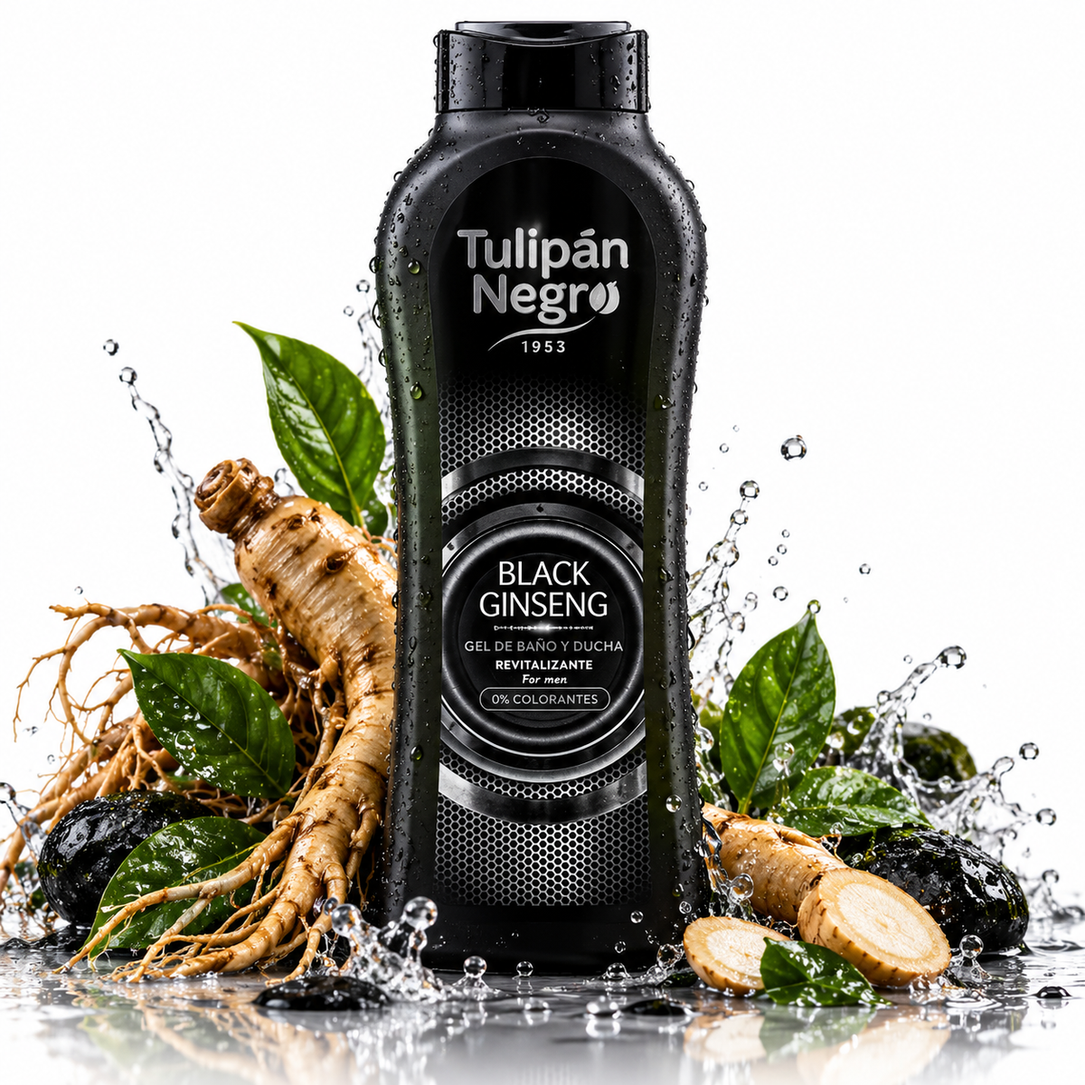 Tulipán Negro Black Ginseng