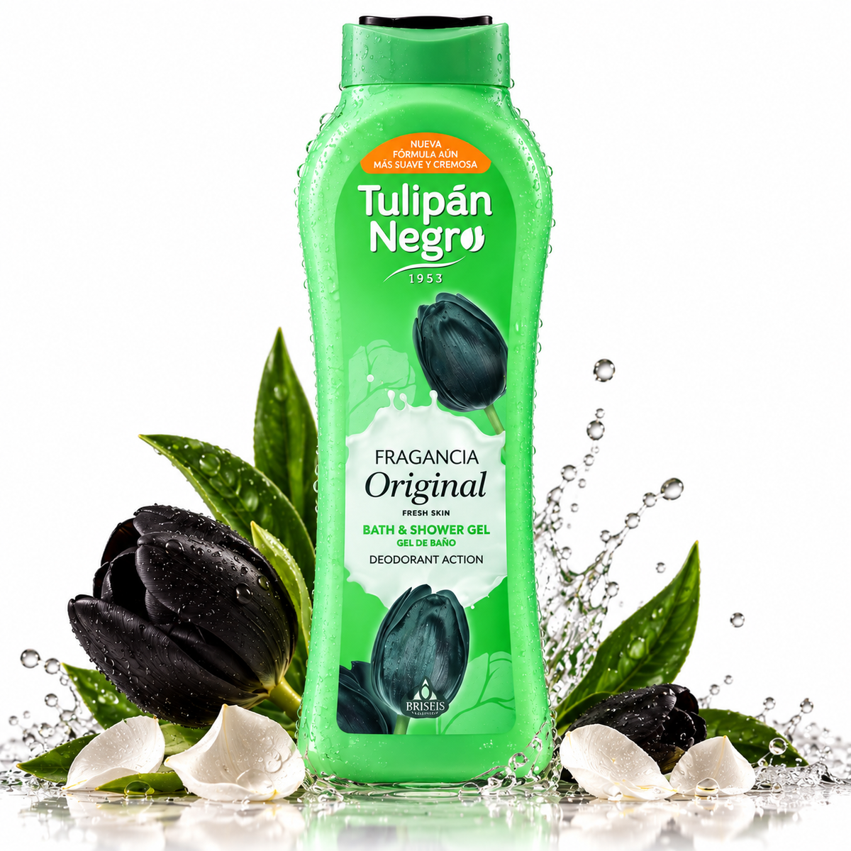 Tulipán Negro Original